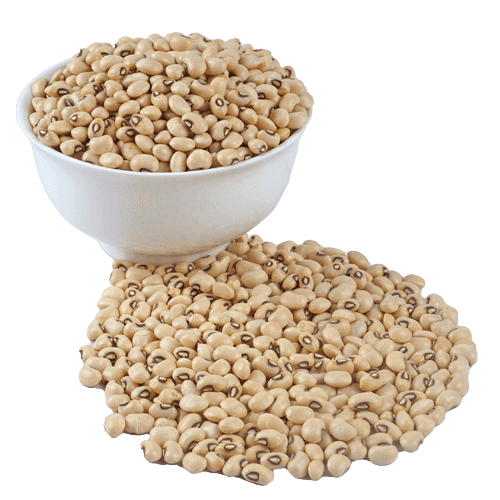 Lobia